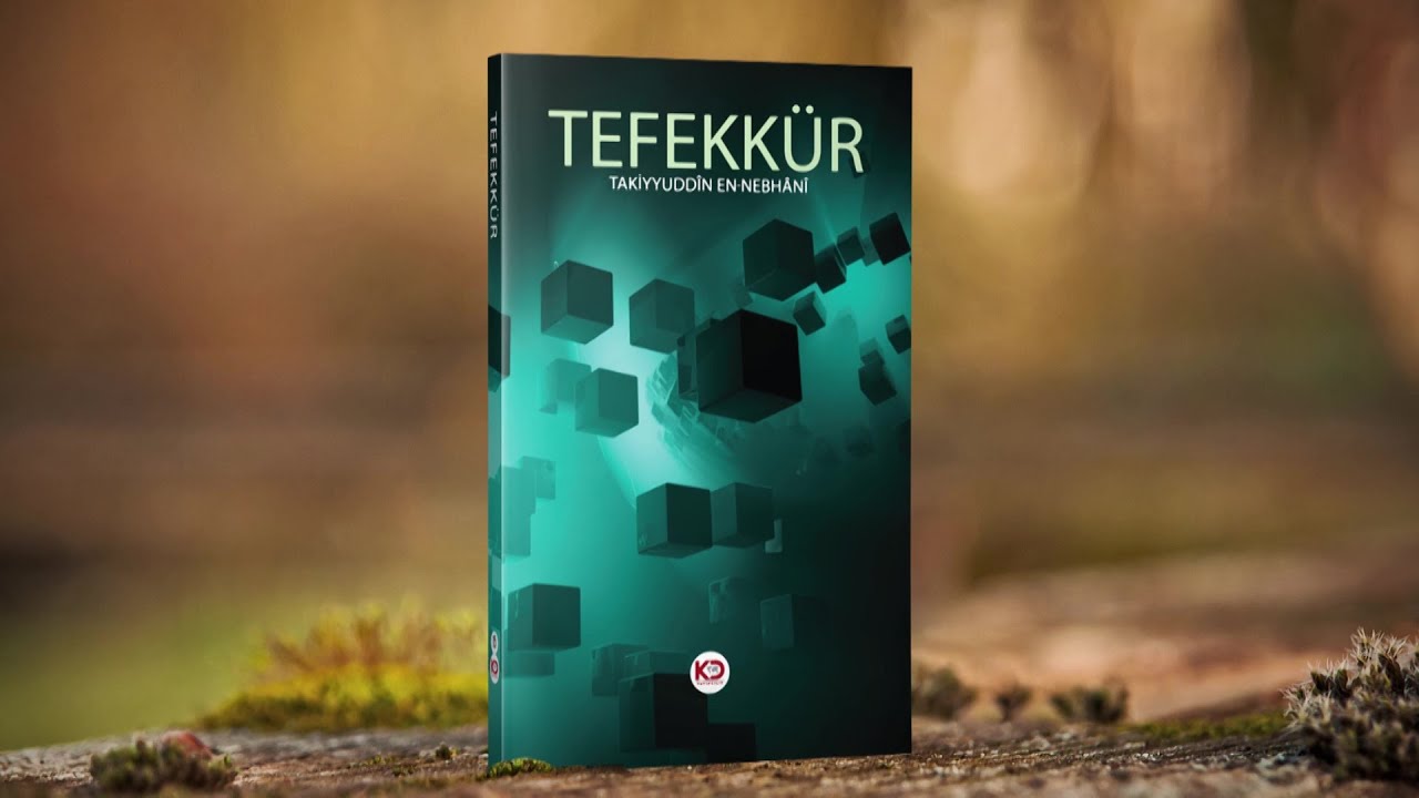 Kitap ve Tefekkür | Tefekkür